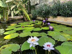 -国家植物园南园