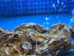 -香山湖渔家大院