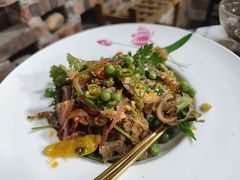 -食德喜·阳山鸡王食研基地