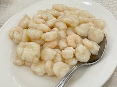 清炒虾仁-宁波旅港同乡会(业丰大厦店)