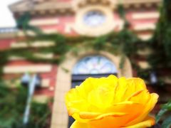 -北京张裕爱斐堡酒庄