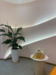 -MUSES专业脱毛比基尼サロン日式连锁