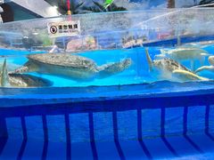 -泉城欧乐堡海洋极地世界