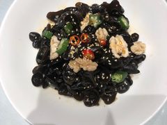 -沪碟·精菜坊(闵行店)