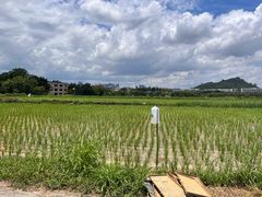 -光明小镇欢乐田园