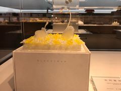 -BLACKSWAN黑天鹅(环球店)
