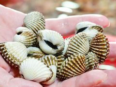 -巽寮印象美食部落餐厅·海鲜·地方特色菜(惠州体验店)