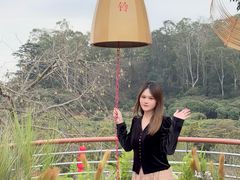 -东莞植物园