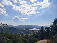 -大姆山草场