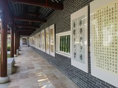 -顺峰山公园