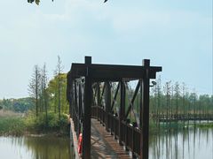 -同里国家湿地公园