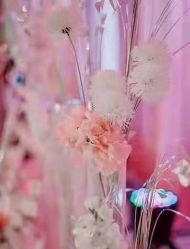 -天泰一站式婚宴·宴会厅