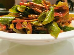 香拌折耳根-文杏酒楼(一品天下店)