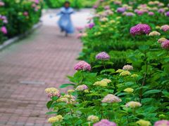 -万达影城(闵行颛桥万达广场杜比影院店)