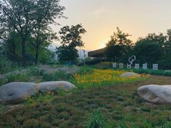 -紫云台香草园