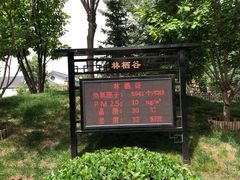 -林栖谷森林康养度假区
