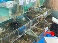 -小叶大馅饺子城