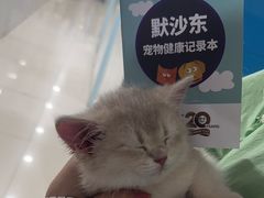-科道动物医院·急重症中心(万达院)