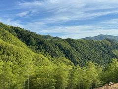 -天目山大树王景区