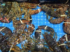 -醉壹号海鲜大排档(厦门美食地标店)