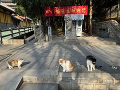 -四门塔风景区