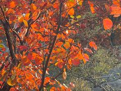 -青州市云门山风景区