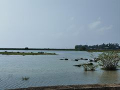 -北海金海湾红树林生态旅游区