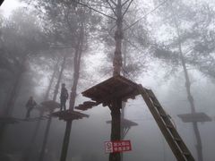 -梦幻奥陶纪景区