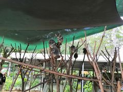 -可伦宾野生动物保护区