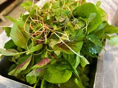 -麒麟豆汤圆子火锅(川心小区店)