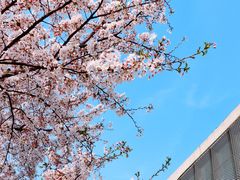 -龙美术馆(西岸馆)
