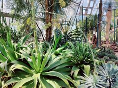-北京植物园-展览温室