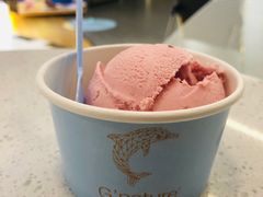 -八喜G’nature冰淇淋旗舰店