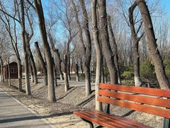 -东郊湿地公园
