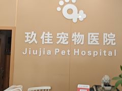 -玖佳宠物医院·泌尿·骨科·中老年病
