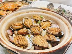 红烧鲍鱼-舌尖上·霞浦滩涂海鲜·新闽菜(总店)