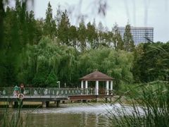 -新虹桥中心花园