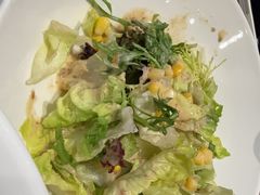 -船歌·鱼水饺青岛菜(国贸商城店)