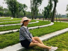 -白鹭湾湿地公园