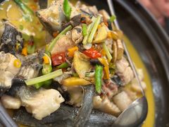 -饭怕鱼·黄焖鲟龙鱼(湖大店)