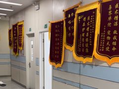 -中农国际动物医院24小时·猫科·骨科·急重症中心