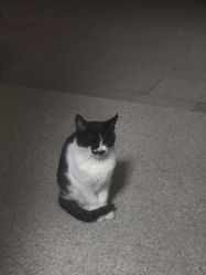 -和良形象