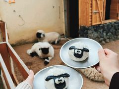 -HERRE·FARM 赫尔露营农场·团建聚会包场