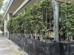 -铜锣湾·有麝自然香(渝北财富中心店)