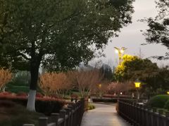 -滨湖塘西河公园