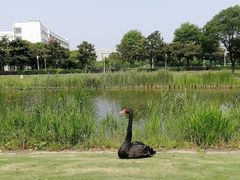 -李先生的首尔小馆(松江启源广场店)