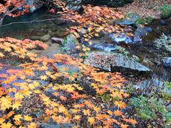 -丹东天桥沟景区