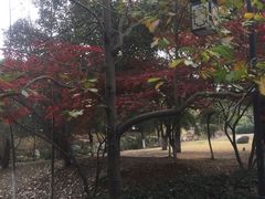 -白马涧龙池景区