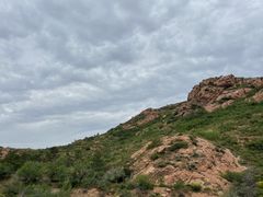 -红山国家森林公园