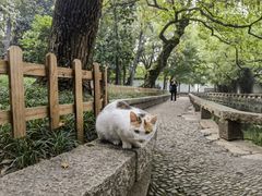 -西园戒幢律寺